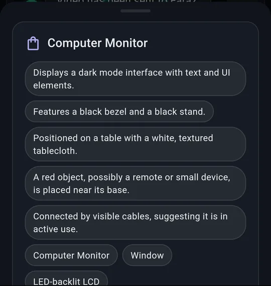 Identify result: Computer Monitor with details and tags